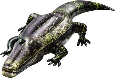 inflatable alligator pool toy
